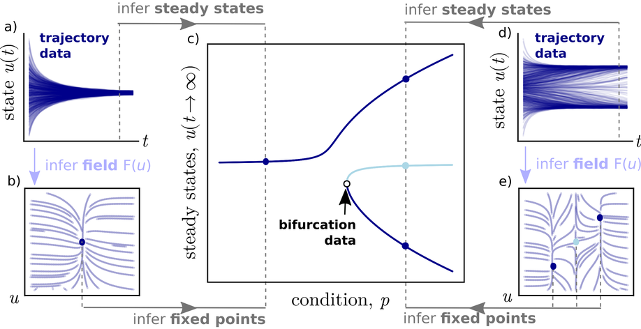 Parameter Inference with Bifurcation Diagrams