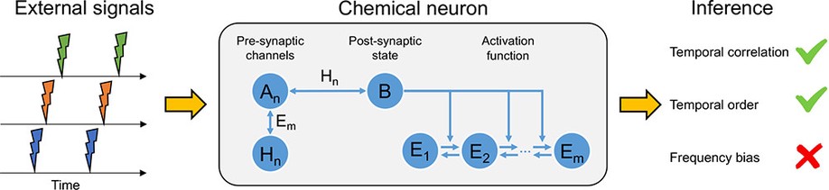 Programming Molecular Systems To Emulate a Learning Spiking Neuron